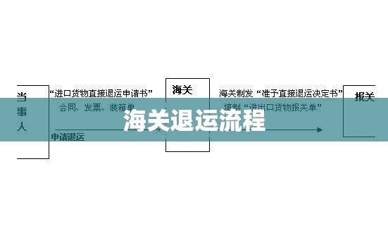 海关退运流程全面解析  第1张