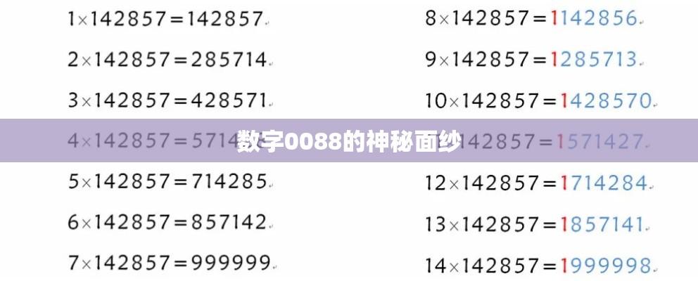 揭秘数字0088的神秘面纱，背后的故事与深层含义  第1张