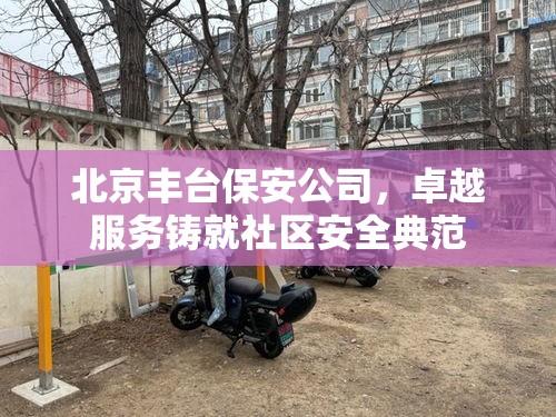 北京丰台保安公司，卓越服务铸就社区安全典范  第1张