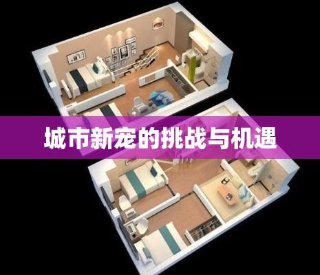 商住两用房，城市新宠的机遇与挑战并存  第1张