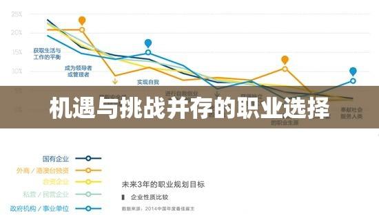 外企待遇，机遇与挑战并存的职业选择  第1张