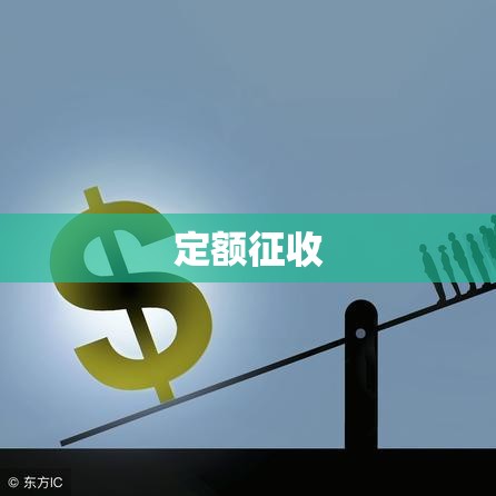 定额征收，稳健税收制度之路  第1张