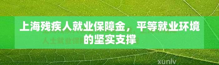 上海残疾人就业保障金，平等就业环境的坚实支撑  第1张