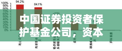 中国证券投资者保护基金公司，资本市场的坚实守护者  第1张