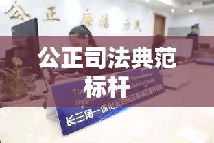 上海人民法院，公正司法的典范典范标杆  第1张