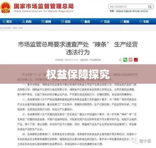 美国法律下的网站运营与权益保障探究  第1张