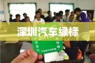 深圳汽车绿标，环保与便捷的双赢实践  第1张