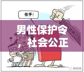 男性保护令，社会公正与安全的基石重塑者  第1张