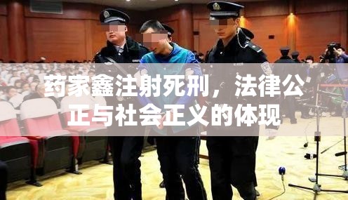 药家鑫注射死刑，法律公正与社会正义的体现  第1张