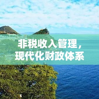 非税收入管理，现代化财政体系的基石  第1张