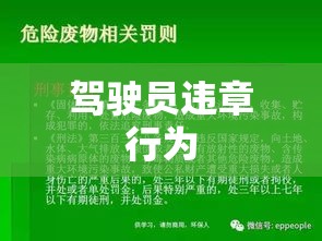 驾驶员违章行为，危害、成因与应对策略  第1张