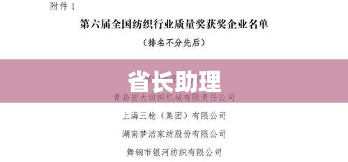 省长助理的角色定位与职责担当解析  第1张