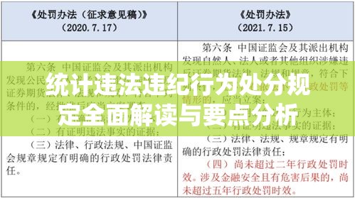 统计违法违纪行为处分规定全面解读与要点分析  第1张