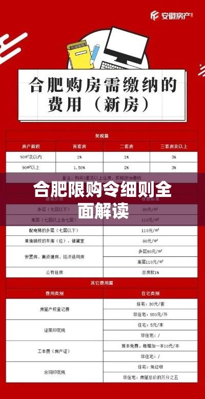 合肥限购令细则全面解读  第1张