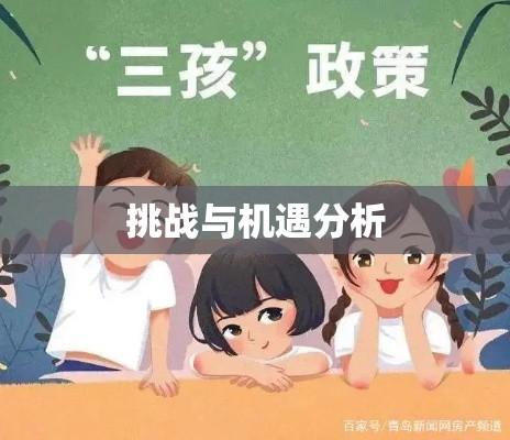 三孩生育政策的挑战与机遇分析  第1张