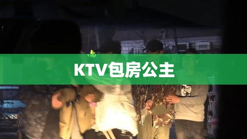 KTV包房公主的职业魅力，神秘面纱揭晓  第1张