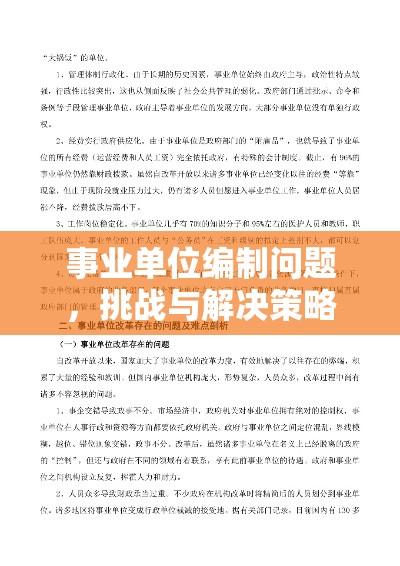 事业单位编制问题，挑战与解决策略  第1张