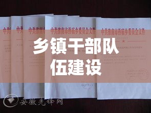 关于加强乡镇干部队伍建设的策略建议  第1张