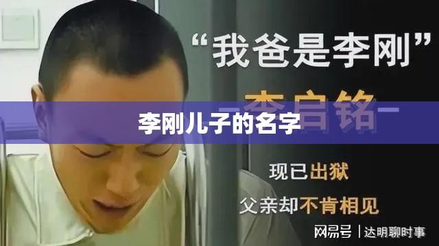 李刚儿子名字背后的故事  第1张