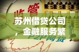 苏州借贷公司，金融服务繁荣下的责任担当  第1张