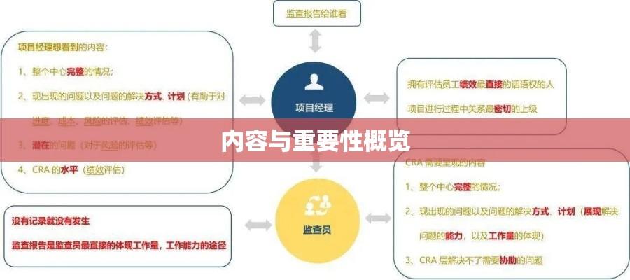 全面解读审核报告，内容、意义与重要性概览  第1张