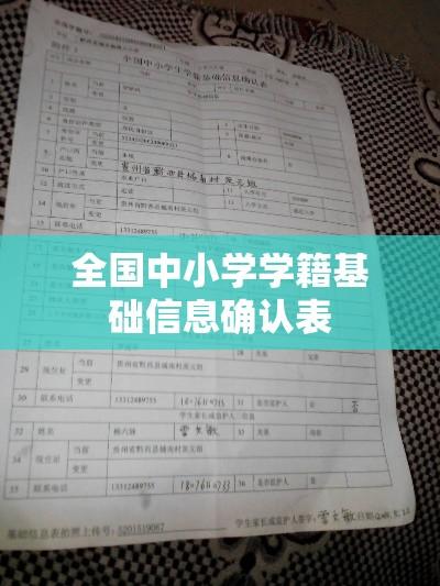 全国中小学学籍基础信息确认表，重要性解析与操作指南  第1张