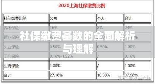 社保缴费基数的全面解析与理解  第1张