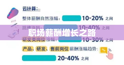 加薪申请与探讨，职场薪酬增长之路的探讨与实践  第1张