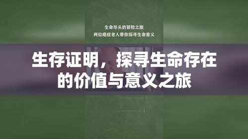 生存证明，探寻生命存在的价值与意义之旅  第1张