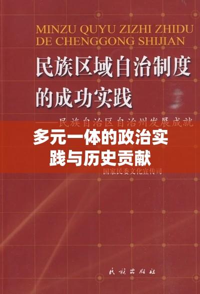 我国民族区域自治地方，多元一体的政治实践与历史贡献探究  第1张