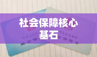 三险一金，社会保障的核心基石  第1张