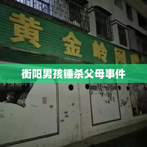 衡阳男孩锤杀父母事件深度剖析，背后的原因与社会反思的警钟  第1张