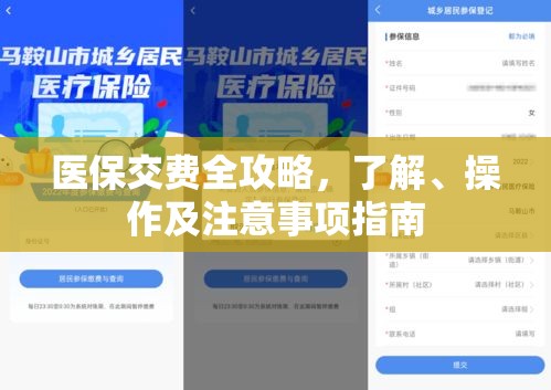 医保交费全攻略，了解、操作及注意事项指南  第1张