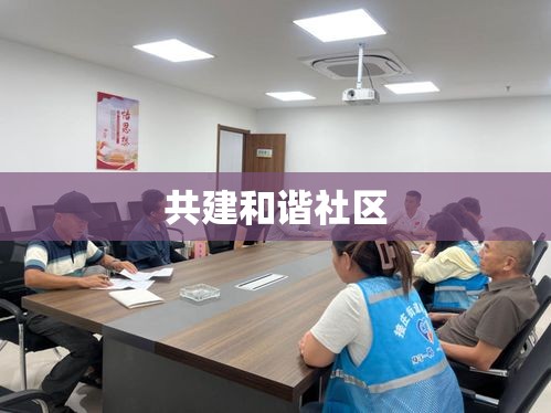 物业回应，共建和谐社区，两小区对向排水非报复行为  第1张