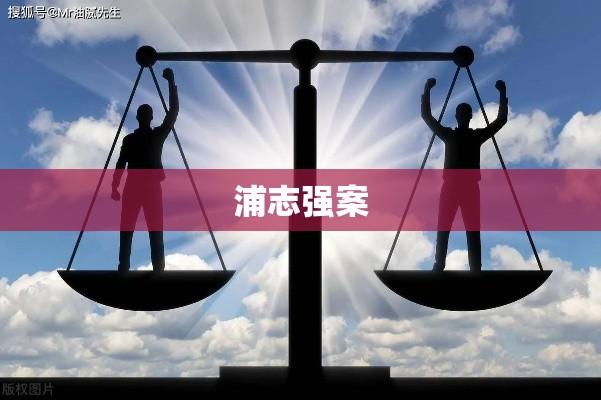 浦志强案，法律面前人人平等原则的挑战与启示  第1张