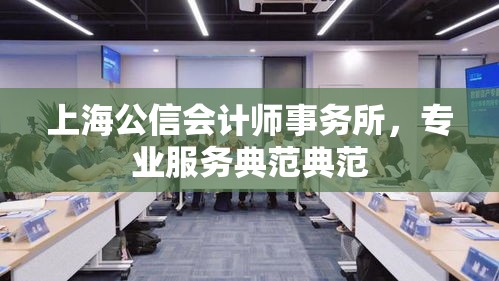 上海公信会计师事务所，专业服务典范典范  第1张