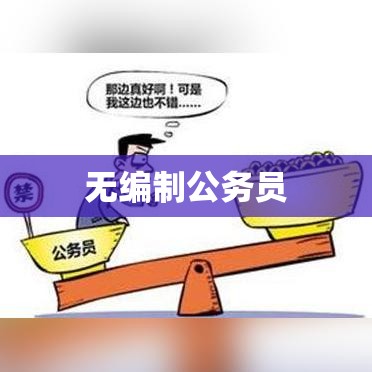 无编制公务员，新时代的新型服务模式探索  第1张