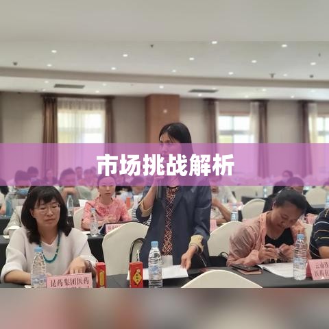 药品批发企业运营策略与市场挑战解析  第1张