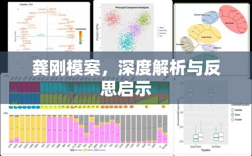 龚刚模案，深度解析与反思启示  第1张