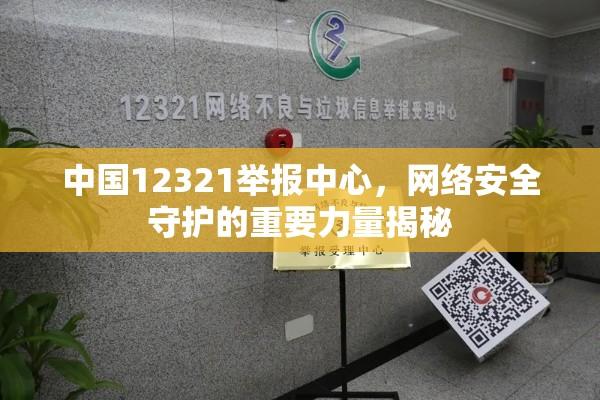 中国12321举报中心，网络安全守护的重要力量揭秘  第1张