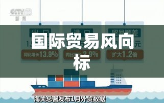 海关进出口商品目录，引领国际贸易风向标  第1张