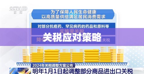 关税税率查询指南，了解、应用与应对策略  第1张