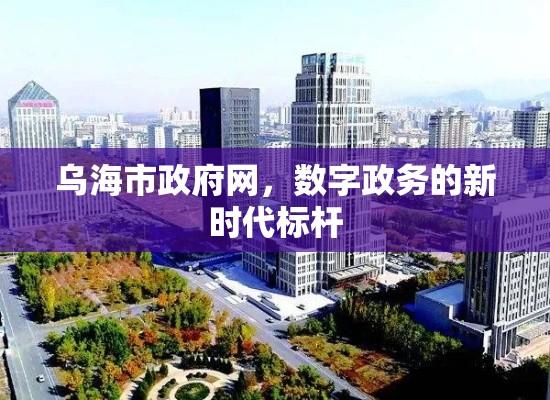 乌海市政府网，数字政务的新时代标杆  第1张