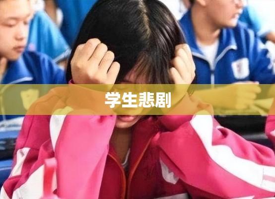 学生悲剧，一次无法挽回的失败  第1张