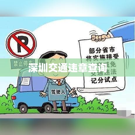 深圳交通违章查询，便捷服务助力城市交通管理  第1张