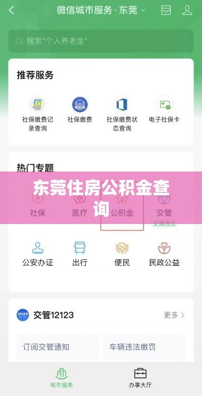 东莞住房公积金查询，便捷查询之路与实用指南  第1张