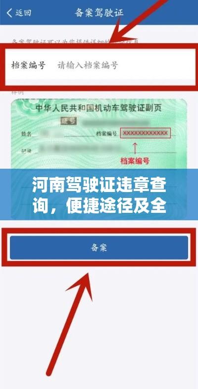 河南驾驶证违章查询，便捷途径及全面解析  第1张