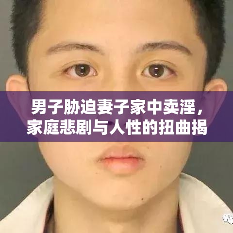 男子胁迫妻子家中卖淫，家庭悲剧与人性的扭曲揭秘  第1张