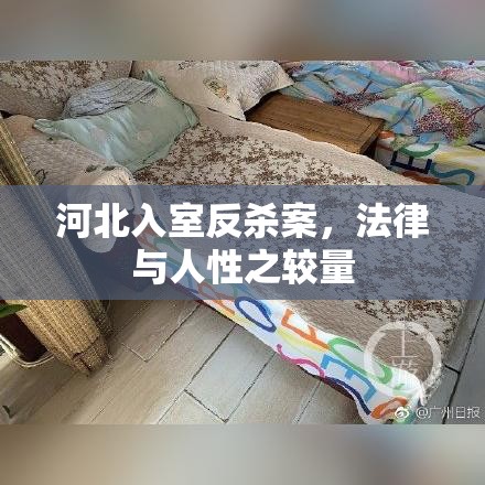 河北入室反杀案，法律与人性之较量  第1张