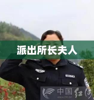 乡书记与派出所长夫人的隐秘故事  第1张